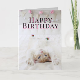 Cute Cat in Socket Birthday Greeting Card Kort