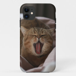 Cute Cat iPhone/iPad-fall