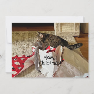 Cute Cat-jul, njut av de nuvarande helgdagskorten Julkort