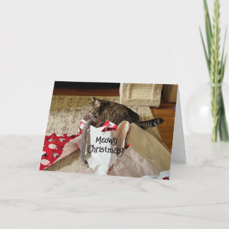 Cute Cat-jul, njut av nuvarande anpassningsbar-kor Meddelande