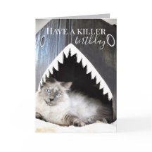 Cute Cat Killer Shark Birthday-hälsningskort