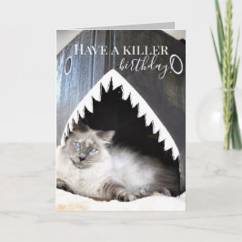 Cute Cat Killer Shark Birthday-hälsningskort Kort