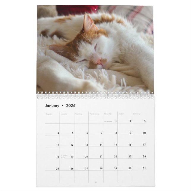 Cute Cat & Kitten 2023 Calendar Kalender (Jan 2026)