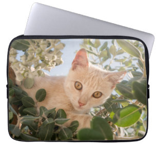 Cute Cat Kitten klättrar i ett Eucalyptus Träd — Laptop Fodral
