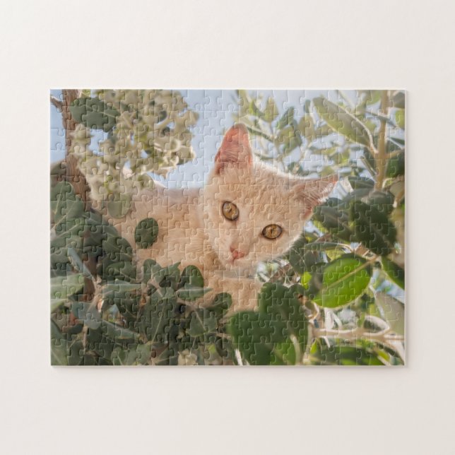 Cute Cat Kitten klättrar i ett Eucalyptus Träd - Pussel (Horisontell)