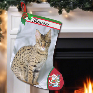 Cute Cat Kitten Photo Jul Stocking Namn Liten Julstrumpa