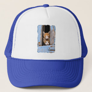 Cute Cat Kittens in Blue Vintage Window Photo Keps