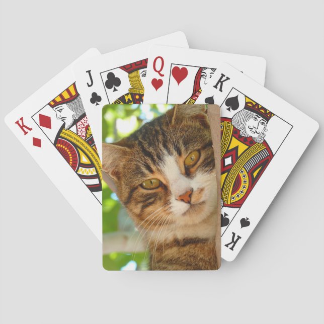 Cute Cat klättrar i Träd Casinokort (Baksidan)