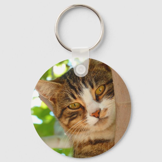 Cute Cat klättrar i Träd Nyckelring (Framsida)