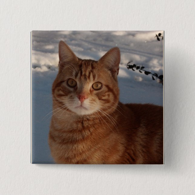 Cute Cat Knapp (Framsida)