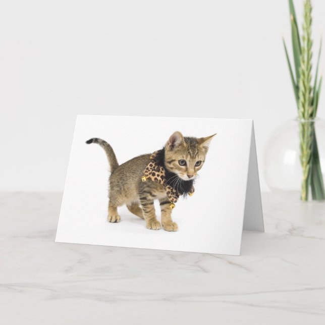 Cute Cat Leopard Skriv ut kollar födelsekort Kort (Framsida)