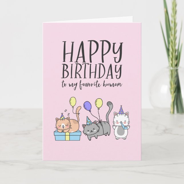 Cute Cat Lover Kittens Party Hat Funny Birthday Kort (Framsida)