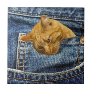 Cute Cat Lovers Keepsaki-gåva Kakelplatta
