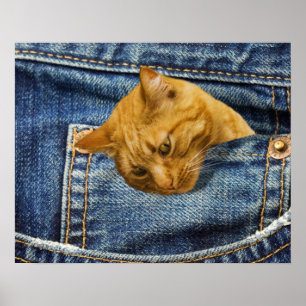 Cute Cat Lovers Keepsaki-gåva Poster
