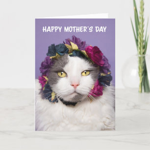 Cute Cat lycklig i Flower Krona Humor Helgkort