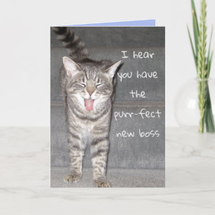 Cute Cat Lycklig Pension kort