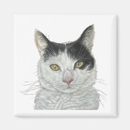 Cute cat magnet