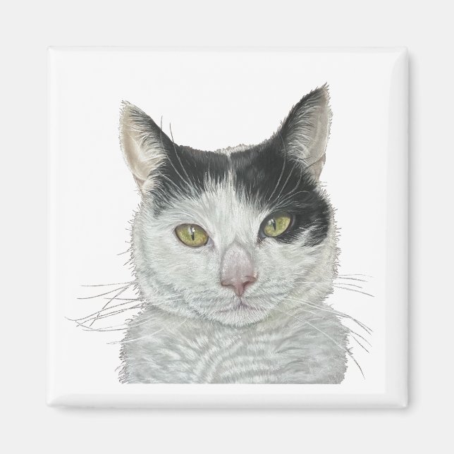 Cute cat magnet (Framsidan)