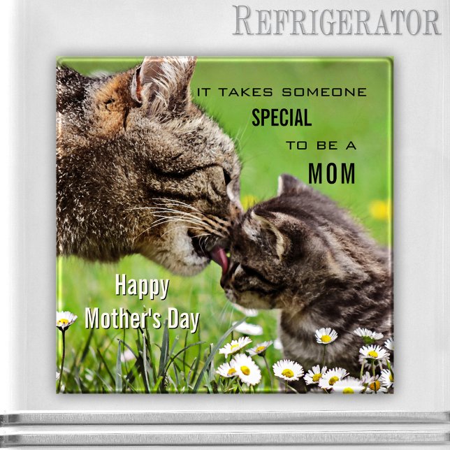 Cute Cat Mamma Mors dag Magnet (Pretty spring time magnet featuring a cat mom with an adorable kitten - Mother's Day)