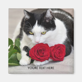 Cute cat med röd ros magnet