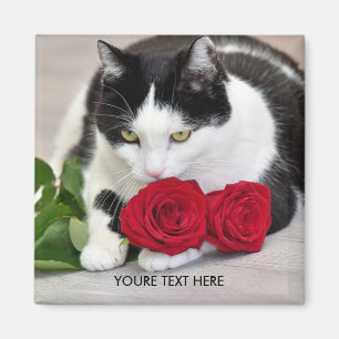 Cute cat med röd ros magnet