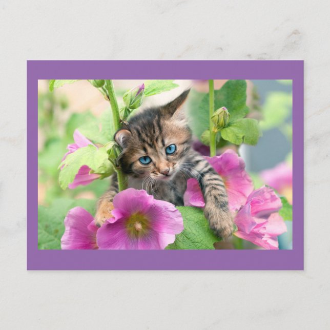 Cute Cat med Rosa Flowers Vykort (Framsida)