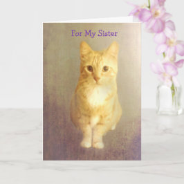 Cute Cat med stöd för systercancer Kort