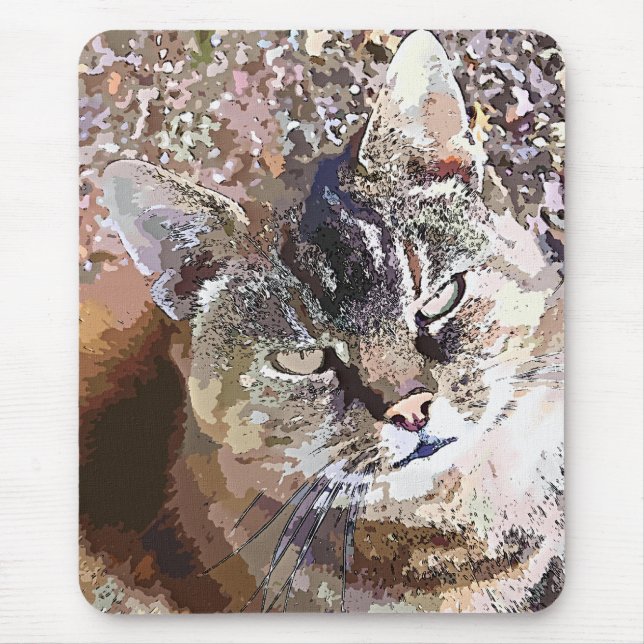 CUTE CAT MUSMATTA (Framsidan)
