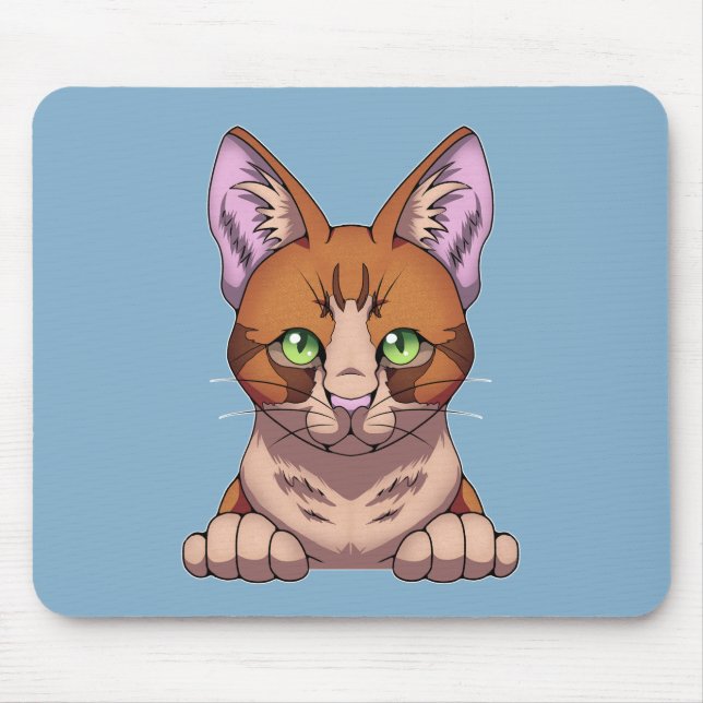 Cute Cat Musmatta (Framsidan)