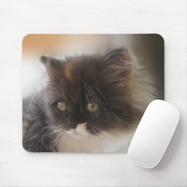 Cute Cat Musmatta (Med mus)