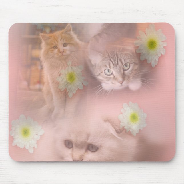 Cute cat musmatta (Framsidan)