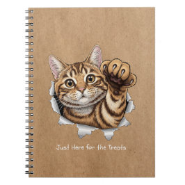 Cute Cat Notes - Spiral Photo Notebook Anteckningsbok
