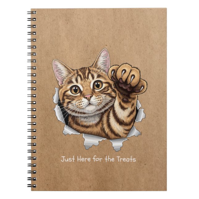 Cute Cat Notes - Spiral Photo Notebook Anteckningsbok (Framsidan)