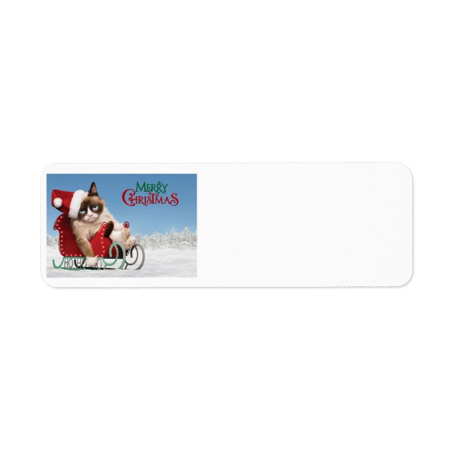 Cute cat on a sleigh returadress etikett (Framsidan)