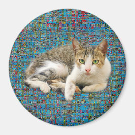 Cute cat på abstraktens bakgrund magnet