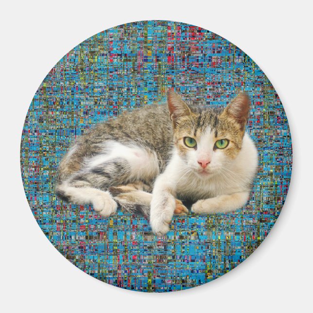 Cute cat på abstraktens bakgrund magnet (Framsidan)