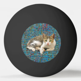 Cute cat på abstraktens bakgrund pingisboll