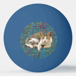 Cute cat på abstraktens bakgrund pingisboll