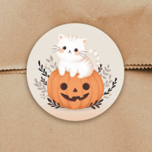 Cute Cat på en pumpkin Halloween Illustration