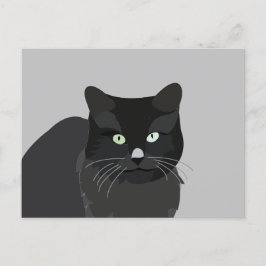 Cute Cat Pet Animal Vykort