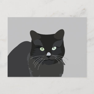 Cute Cat Pet Animal Vykort