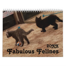 Cute Cat Photos med Roligt Ord