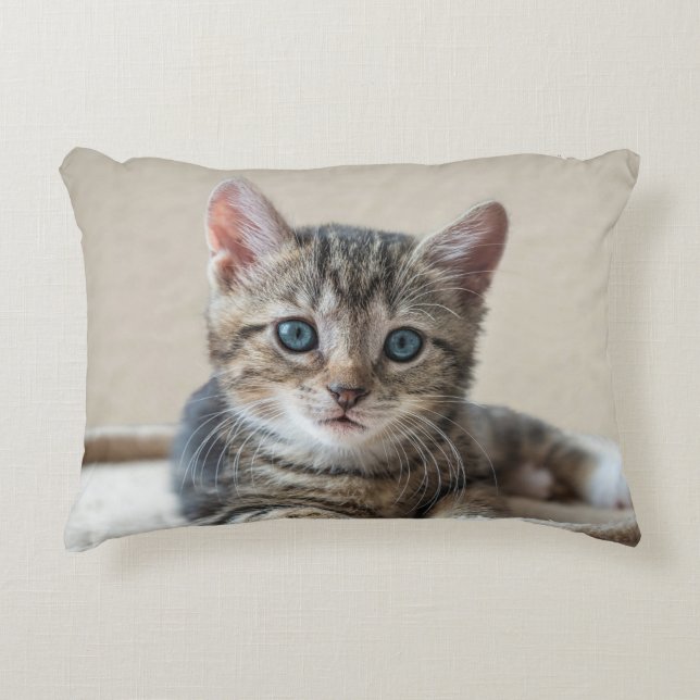 Cute Cat Pillow Prydnadskudde (Framsidan)