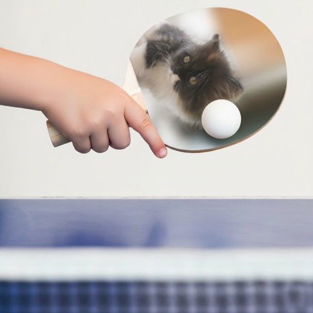 Cute Cat Pingisracket (Fluffy Calico Kitten Photo Cute Ping Pong Paddle
)