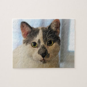 Cute Cat Pussel
