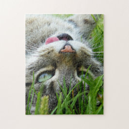 Cute Cat-pussel Pussel