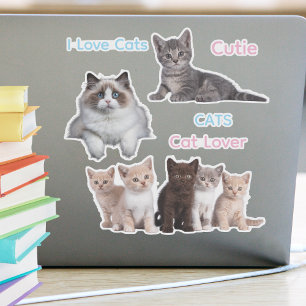 Cute cat-roligt och fånig-kattlover klistermärken