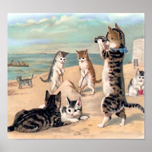 Cute Cat-Roligten vid Beach Poster (Framsidan)