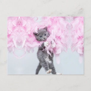 Cute Cat rosa plume Vykort