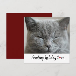 Cute Cat Sending Helgdag Kärlek